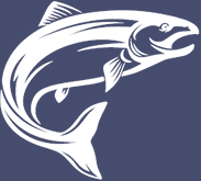 Vattudalens Fisk AB